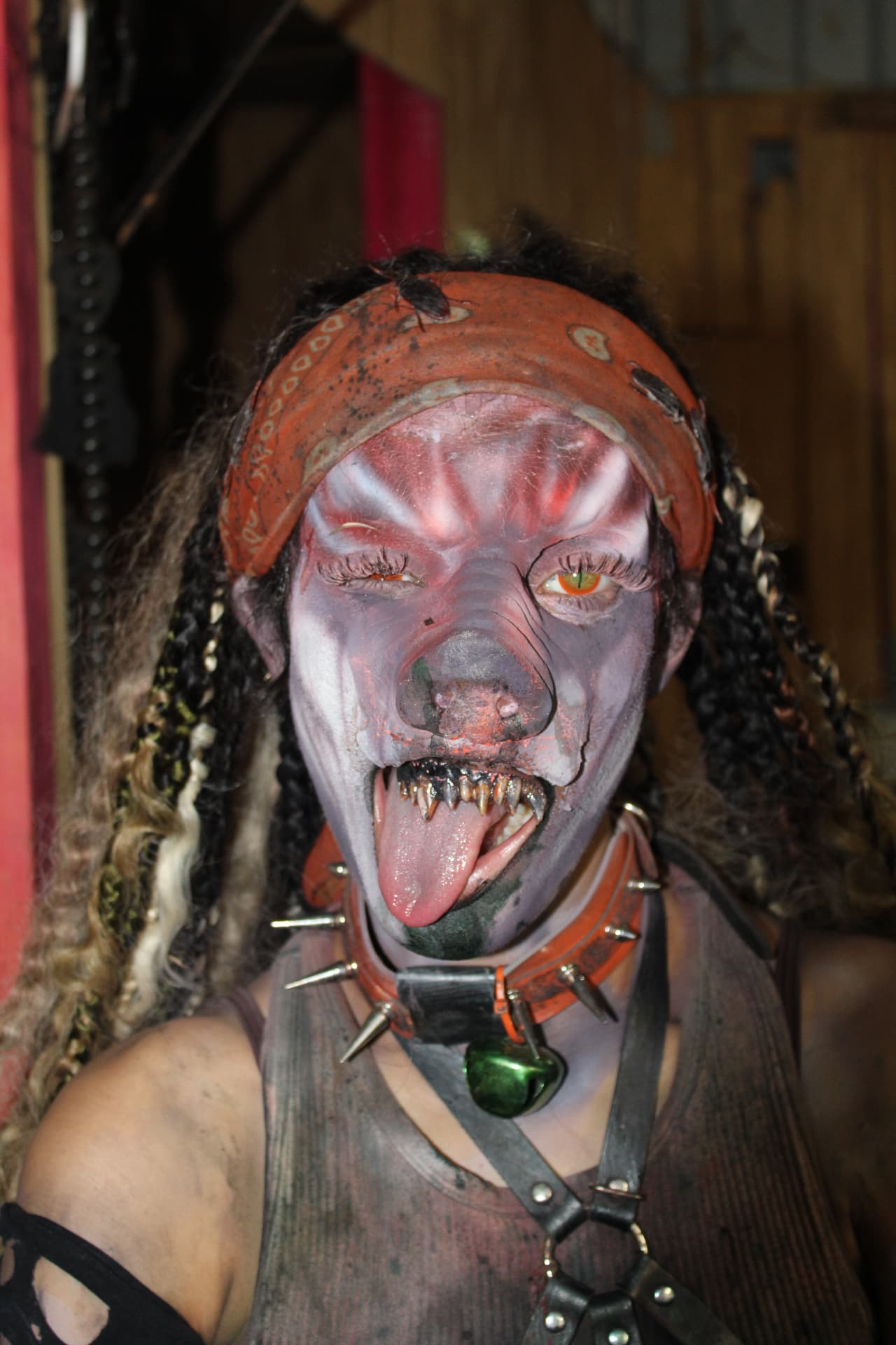 Lucy Scroo in her bandana and spiked collar snarling at the camera at Scream Hollow